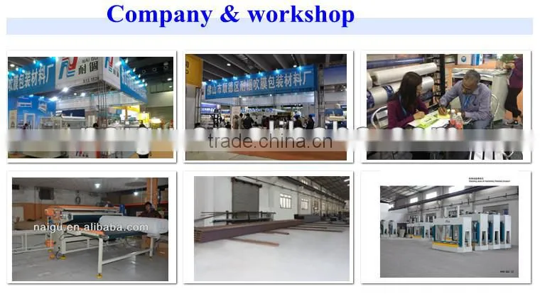 China famous NaiGu Factory Professional Foam Mattress Roll-packing Machine