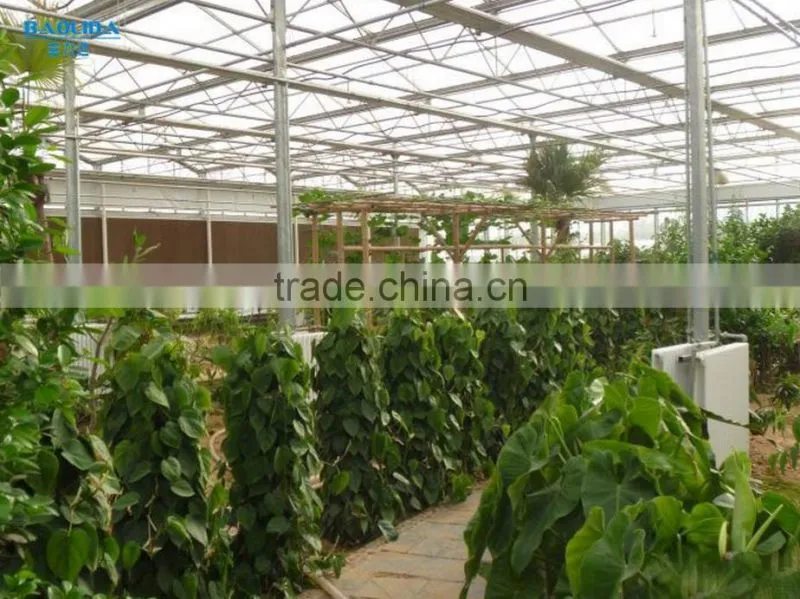 used hydroponic greenhouses