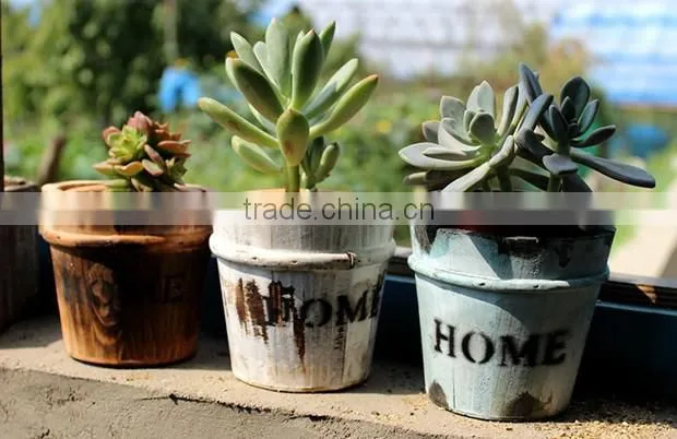 Succulents flower pots retro small bucket flower planter
