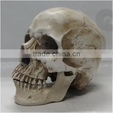 Halloween Decoration Carevd Resin Skull Sculpture