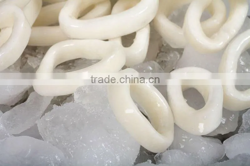 Calamari anello