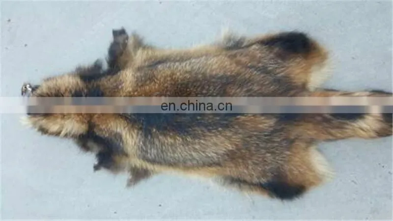 High quality genuine Raccoon fur skin for coat /garment