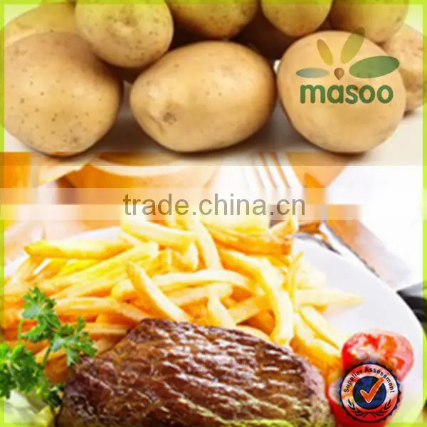 holland potato certified fresh sweet potato 150-200g exporter
