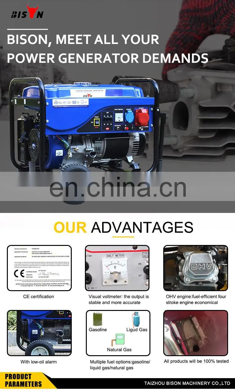 BISON CHINA 6000w Generator Electric Portable Petrol Self Start Generator Air Cooled 7.5 kva Generator