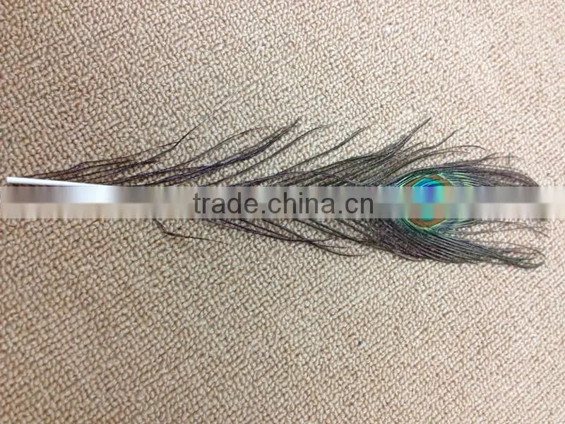 12-13"/30-35cm length Peacock Sword Feather Natural Green For Hats/Costume/Crafts