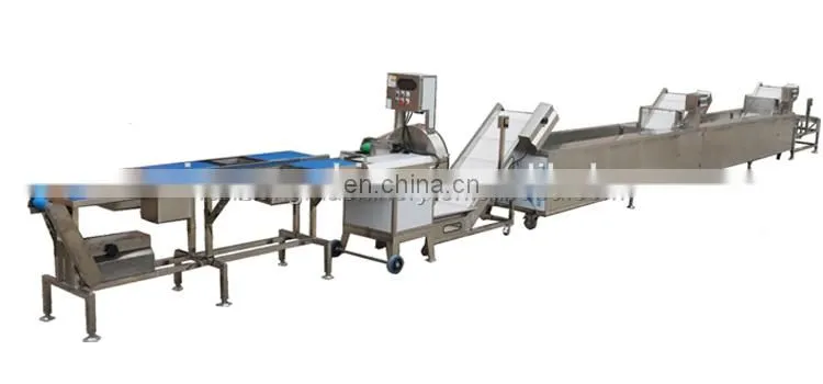 stainless steel apple/pear/mango/fruit/vegetable washing/cleaning/processing machine/equipment