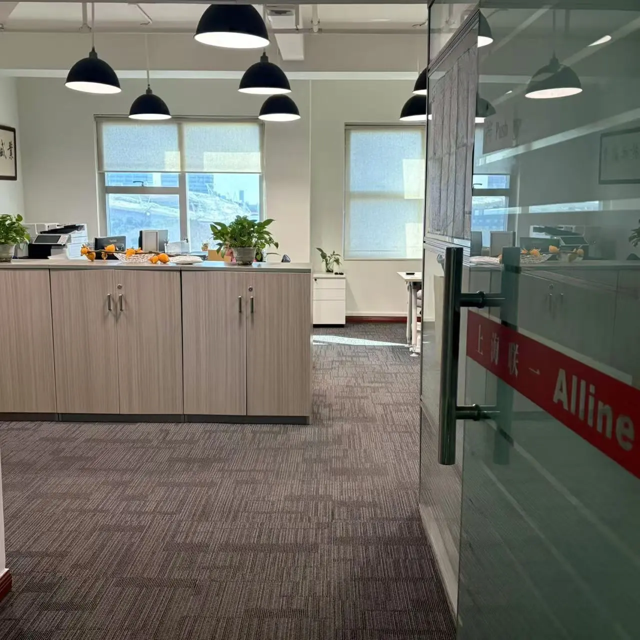 Shanghai Alline Digital Technology Co.,ltd company overview - view 1