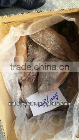 90%NW 300-500G Good Price Tilapia