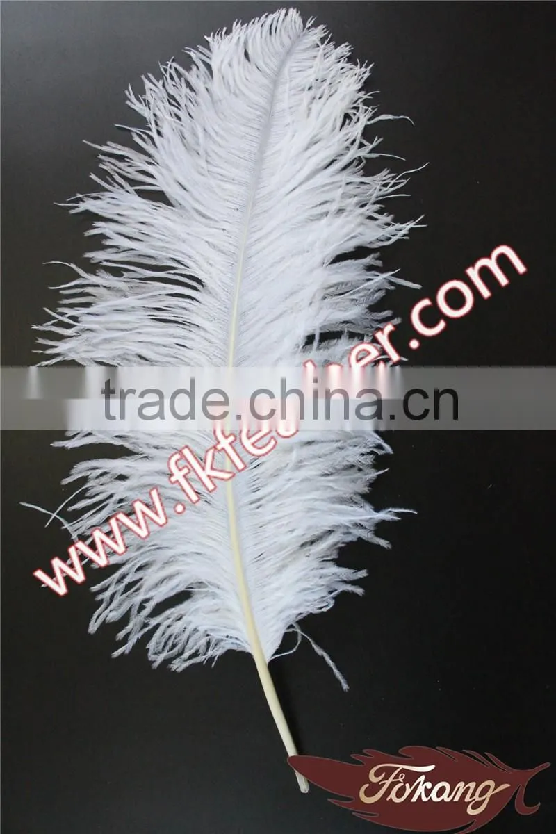 Natural Craft Feather Big White Ostrich Feather For Wedding And Party Decoration 60cm-65cm