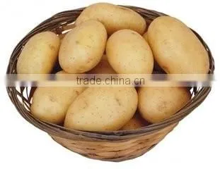 0.75kw High quality commercial potato peeler machine, industrial potato peeling machine