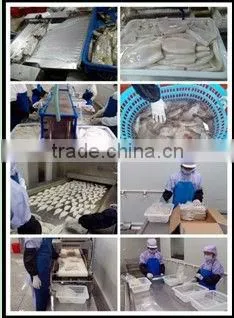 Frozen Tilapia fillet fish skinless, boneless, PBO, chemical free
