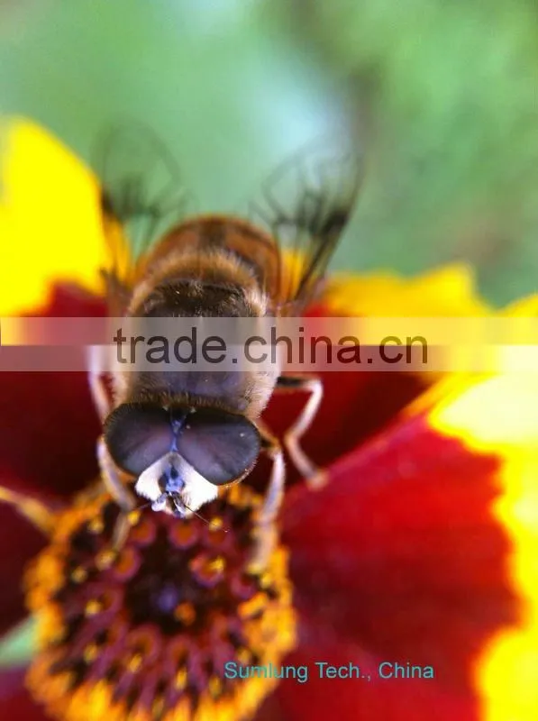 For galaxy S3 i9300 0.67X Wide Angle Macro Fixed Focus Camera Lens