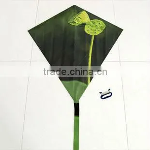 weifang kite