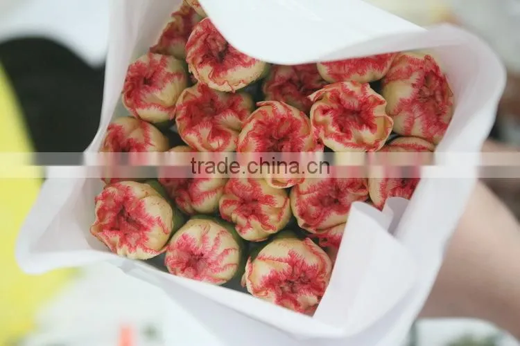Fresh flowers carnation/fresh cut flowers carnations/carnat flower arrang