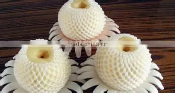bubbling pe mesh extruder