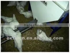 Chain feeding system