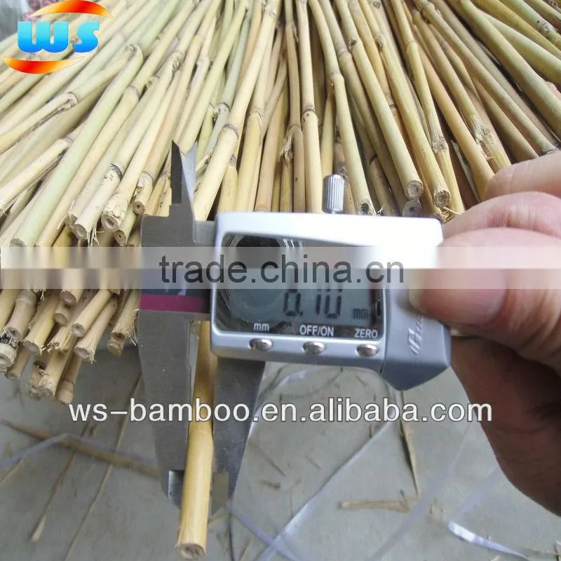 Bamboo Products/First grade Netherlands dyed bamboo canes 75cm 8--10mm