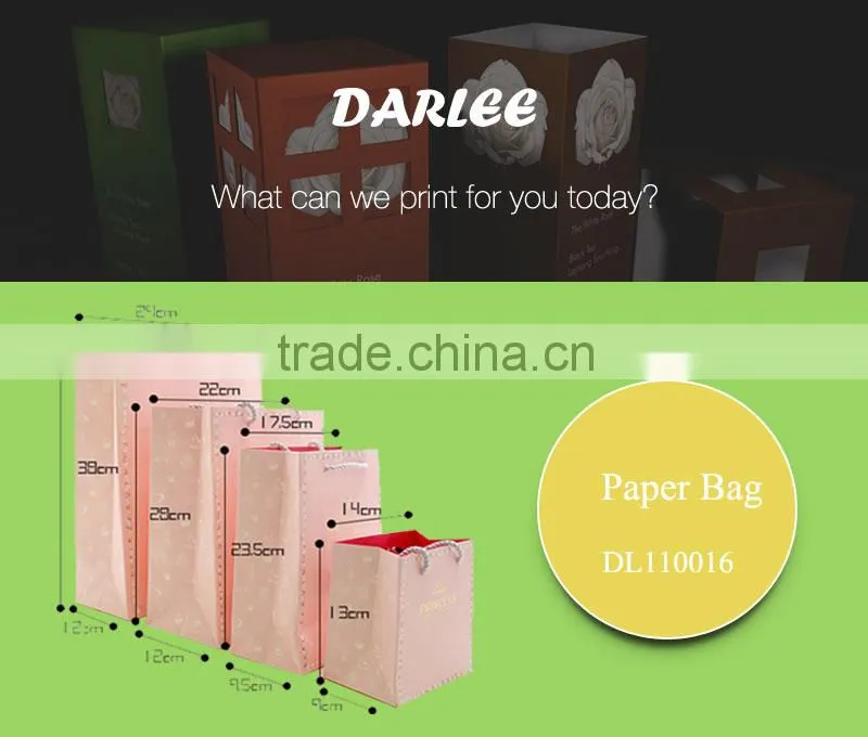 different size of low cost cmyk famous brand paper bag