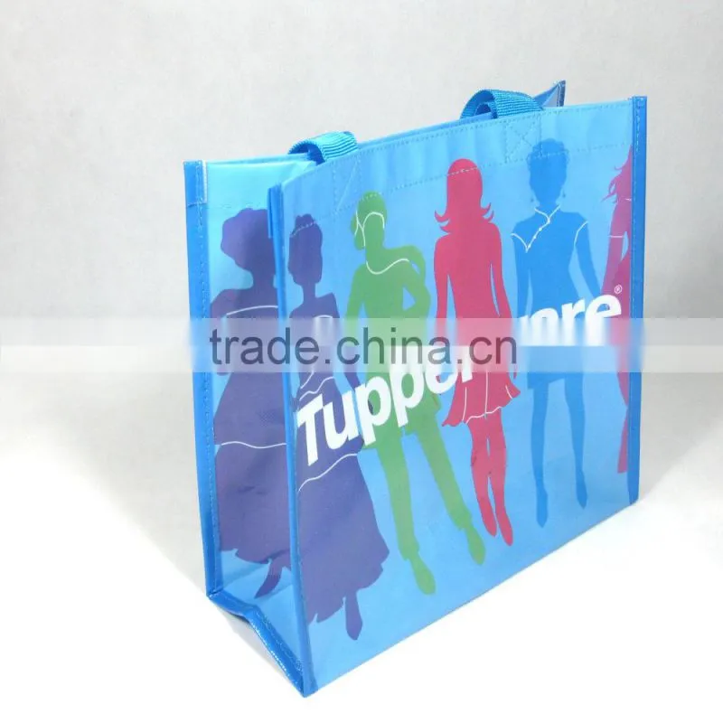 BSCI audit factory eco bag supplier/non woven bags printing/non woven bag