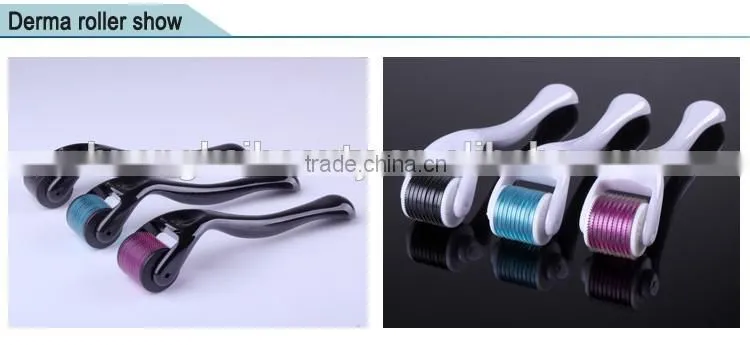 540 Micro Needles Derma Roller/540 Needles Dermaroller System/ Pigmentation Removal