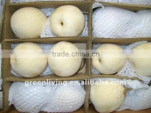 2011 best quality and lowest price ya pear (from china)