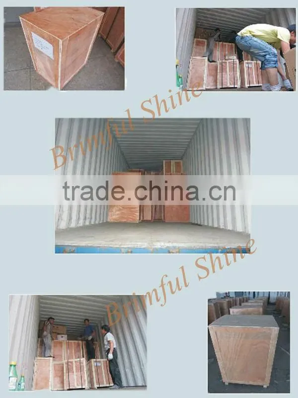 2014 stainless steel garlic processing machine