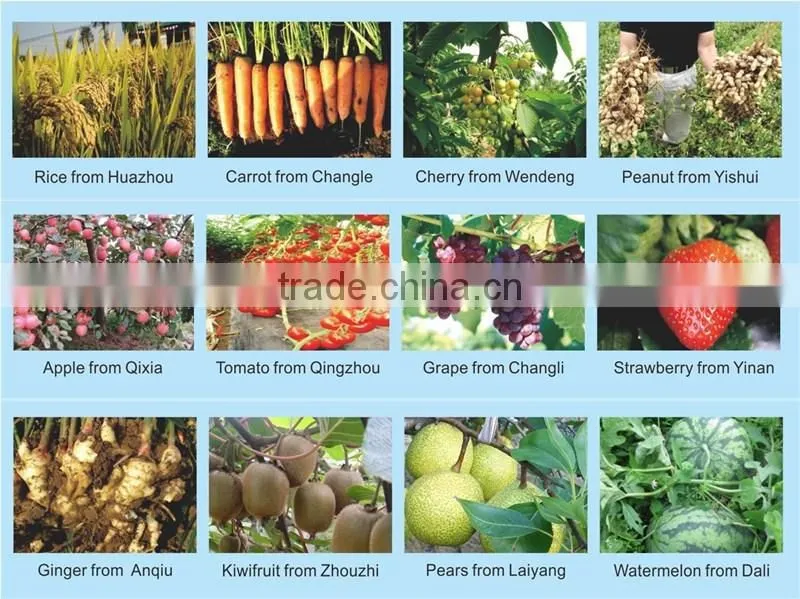Super Potassium Humate