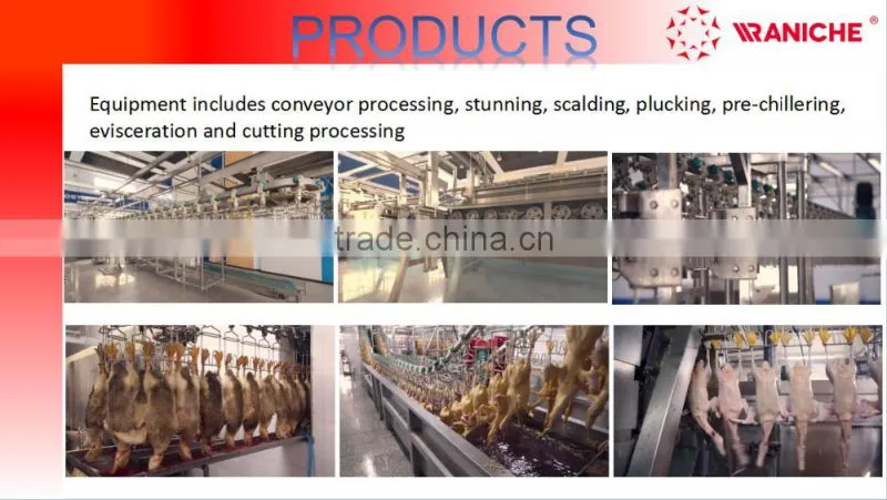 Chicken Plucker for Poultry Slaughtering Processing Plant