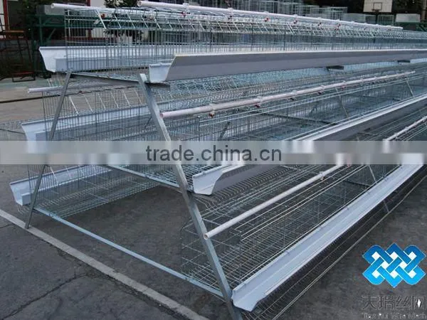 Chicken Cages/layer Chicken cage