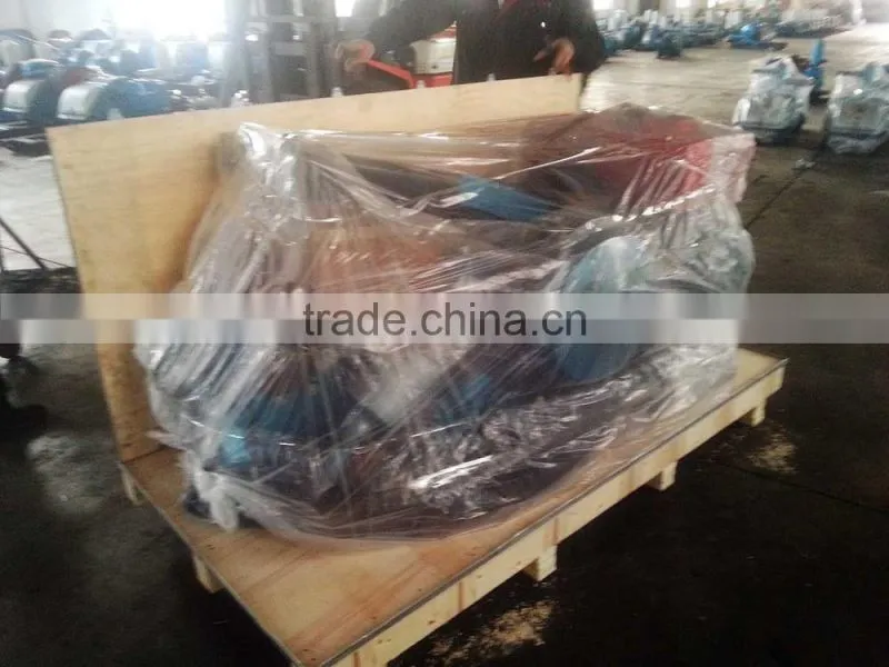 Piston and Plunger Type Triplex Mud Pump for Drilling