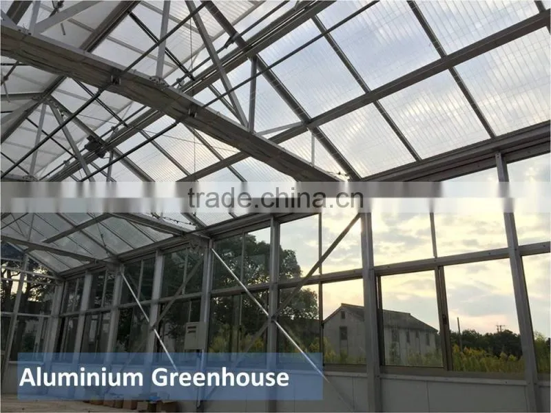 RoughBrothers Aluminium Greenhouse