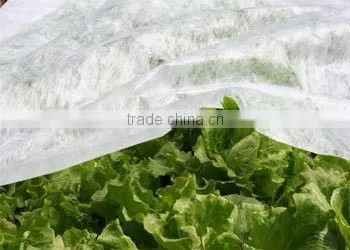PP woven weed control fabric for agriculture and garden