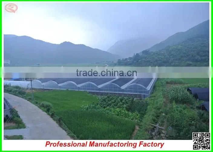 high quality/best selling arched type multi-span greenhouse for garden