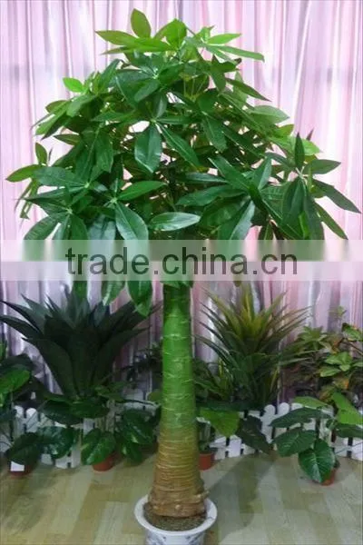 Guanghzou high simulation indoor & outdoor artifcial pachira macrocarpa tree