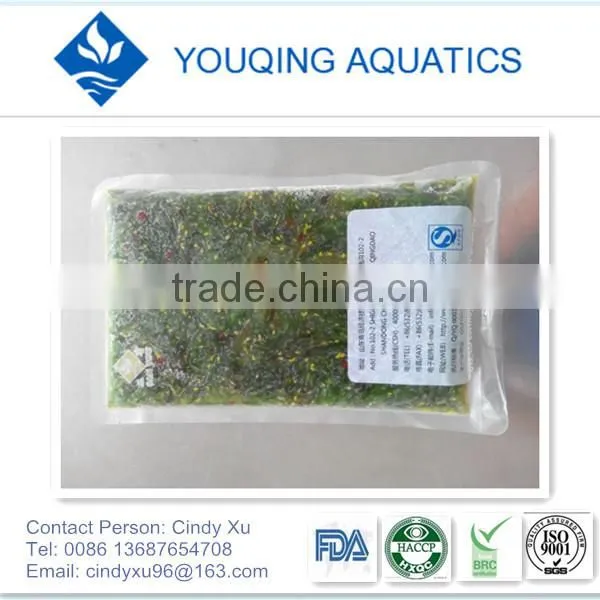undaria pinnatifida seaweed