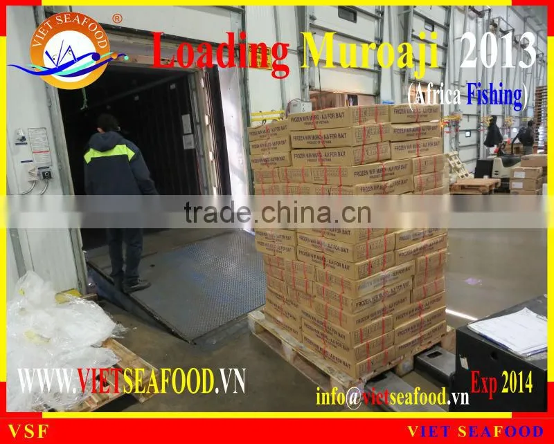 LOADING MUROAJI FOR TUNA BAIT