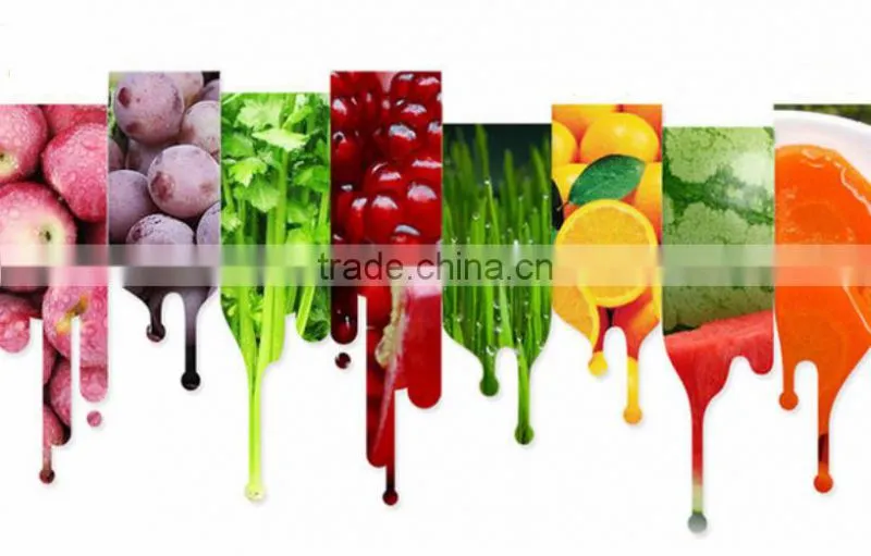 manual cast iron healthy wheatgrass juicer / fruit juicer