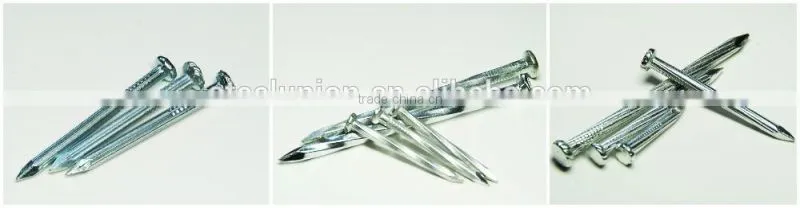 galvanized concrete steel nail/concrete nails/steel nail