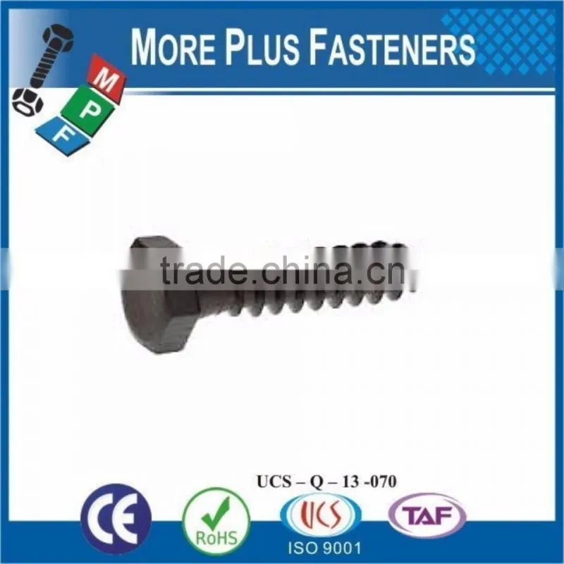 Made In Taiwan External Black Phosphate White Coated Galvanized Metric Lag Bolt