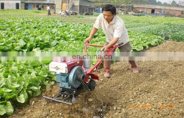 portable gasoline driven mini rototiller/small rotary tiller price