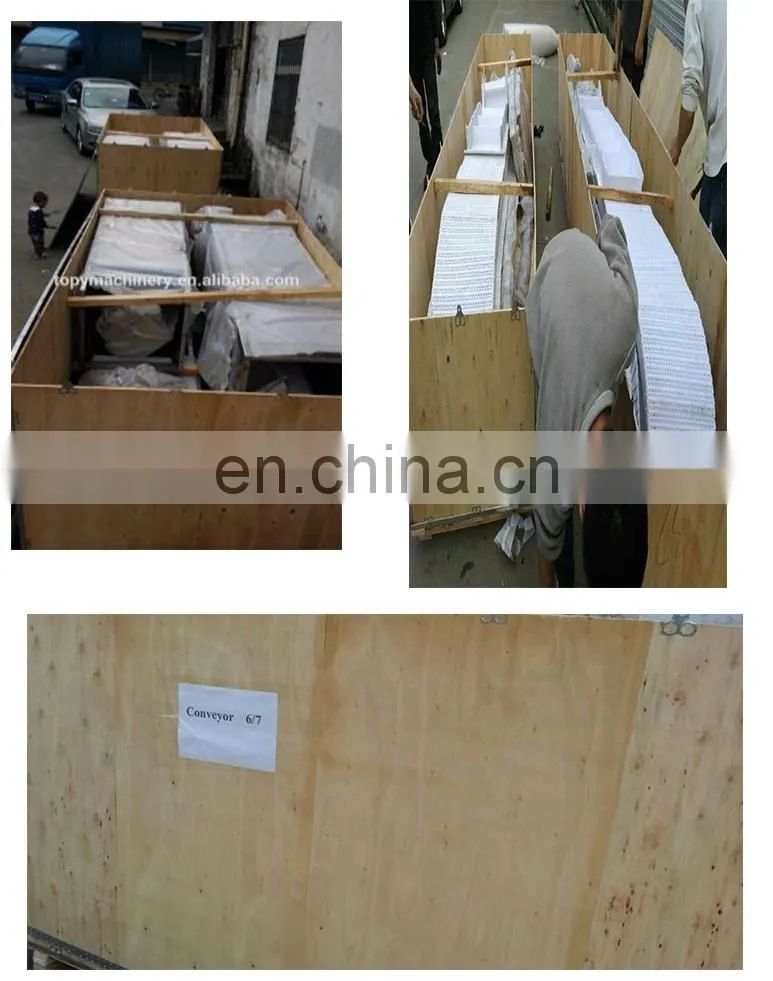 CE Approved Factory Price Food Grade Belt Conveyor System Price