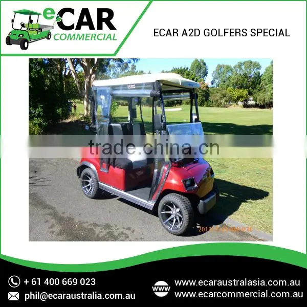 Golfers Special Series New Electric Golf Cart Manufacturer