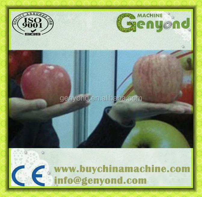Citrus Waxing Machine Fruit Washing and Waxing Machine Fruit Waxing Machine