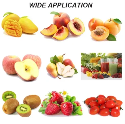 Large Capacity Single Channel Mango Fruit Pulping Machine Fruit Grinding Machine Fruit Juice Pressing Machine