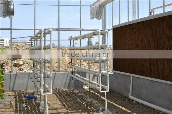 4mm Polycarbonate Greenhouse Anti- high Wind and Snow
