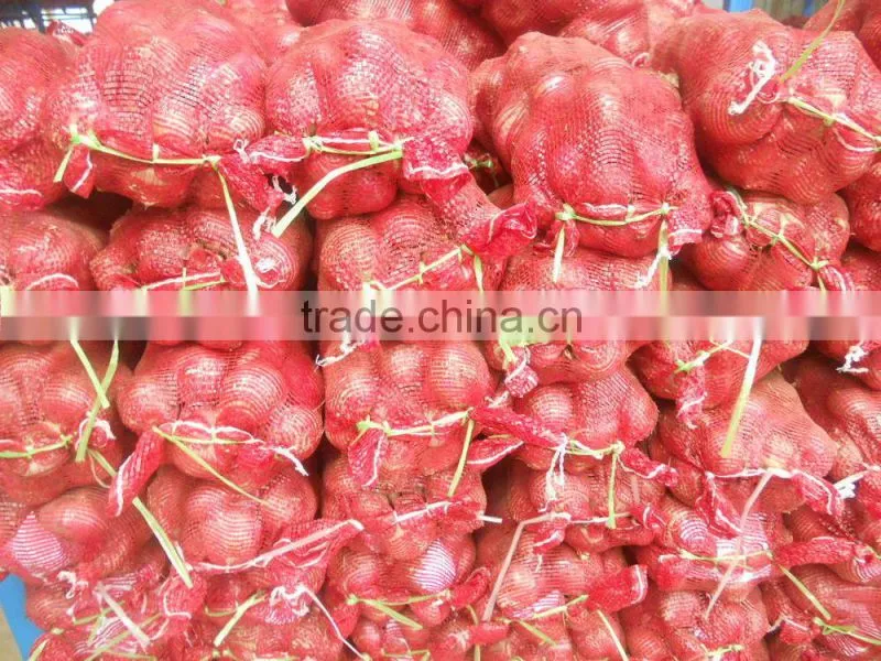 fresh red onion price