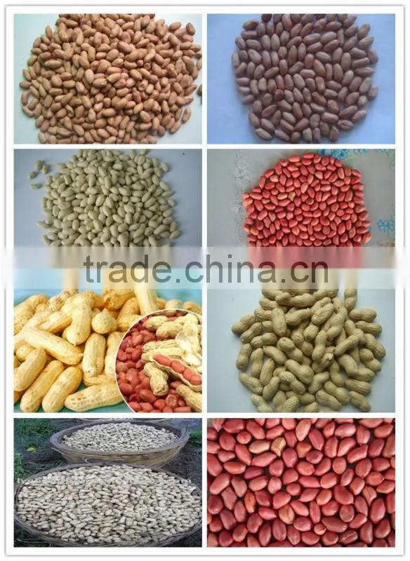 2015 new crop peanut/ peanut kernels