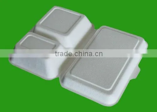 New SGS disposable biodegradable outdoor food container