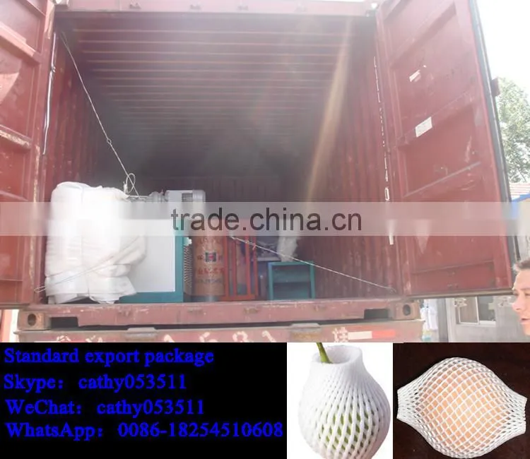 Expandable epe/pe insulation foam net foaming extuder