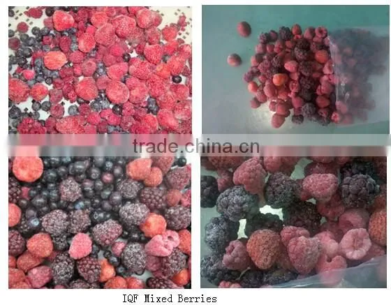 IQF Frozen Sesame Balls